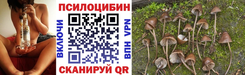 Псилоцибиновые грибы прущие грибы  Купить где  Торжок 