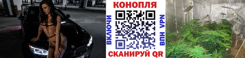 Купить  Торжок  Бошки марихуана сатива 